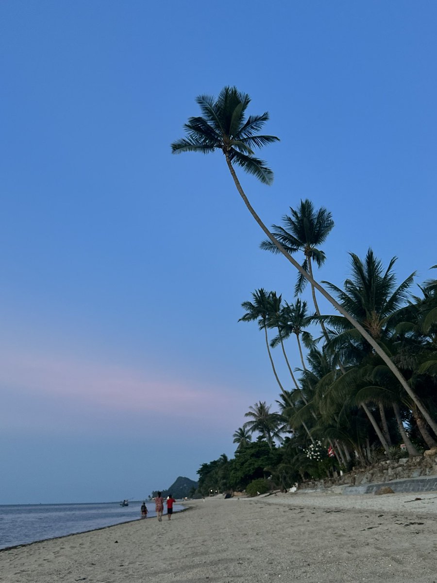 alpa042's tweet photo. 🏝️ https://t.co/KeJwssD1sV
