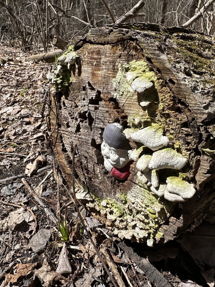 Mary Elaine Leach tweet media