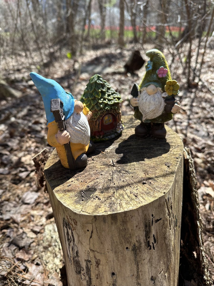 Mary Elaine Leach tweet media