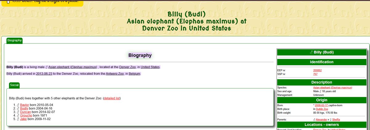 trenchooor tweet media