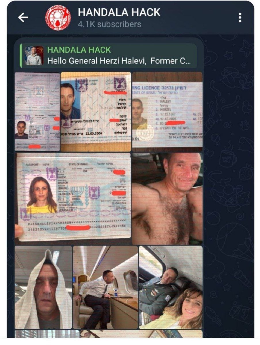 Alerta Mundial tweet media