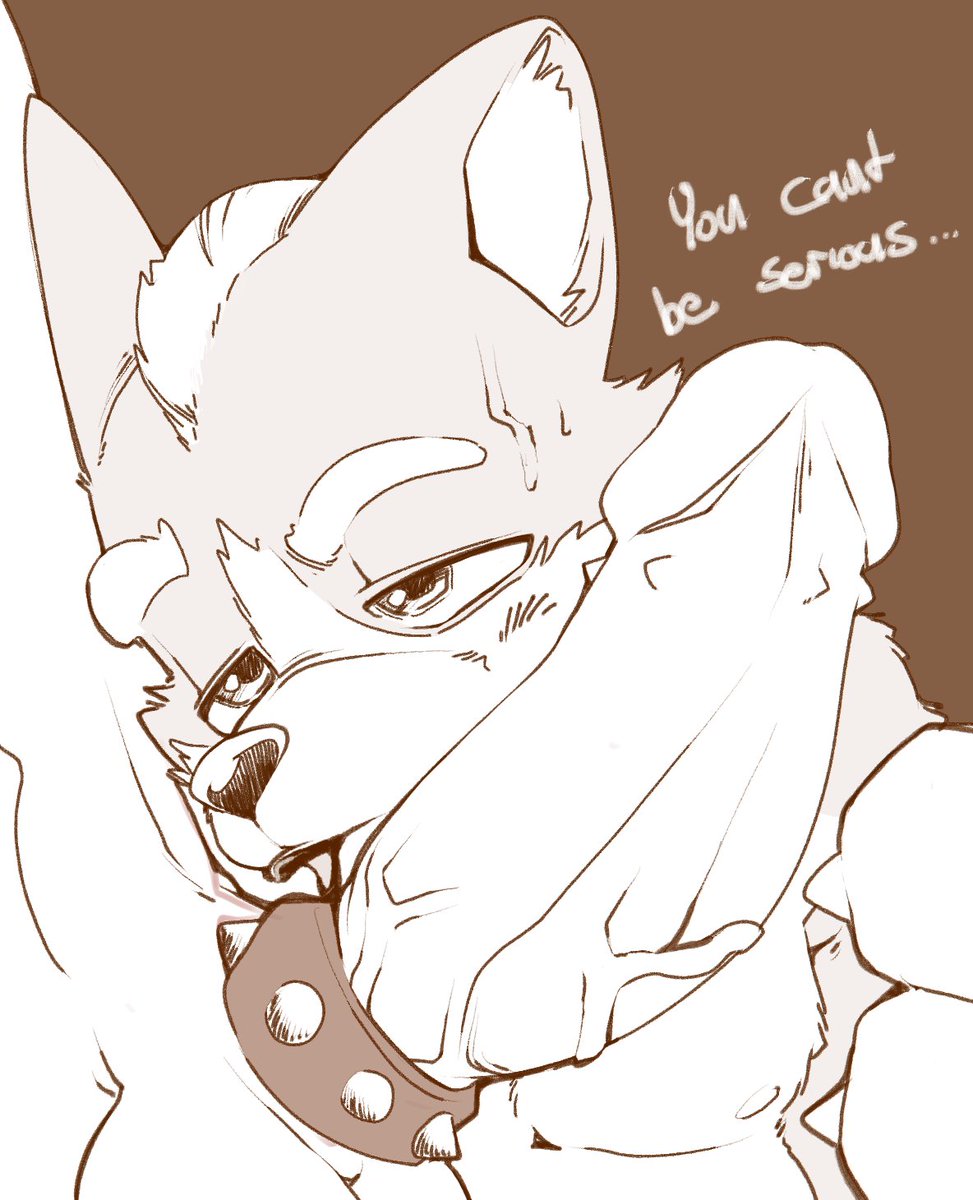 boofurry🔞 tweet media