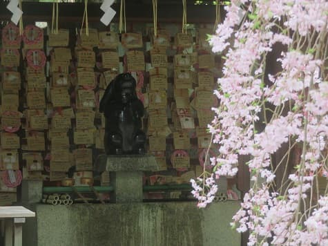 Kyoto no T tweet media