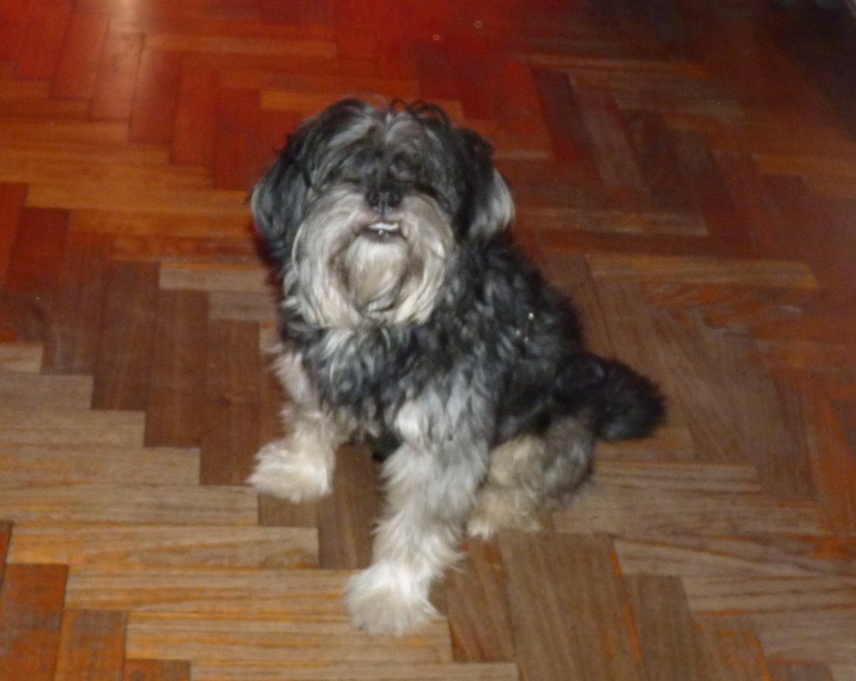 sochi 💋🪩 tweet media