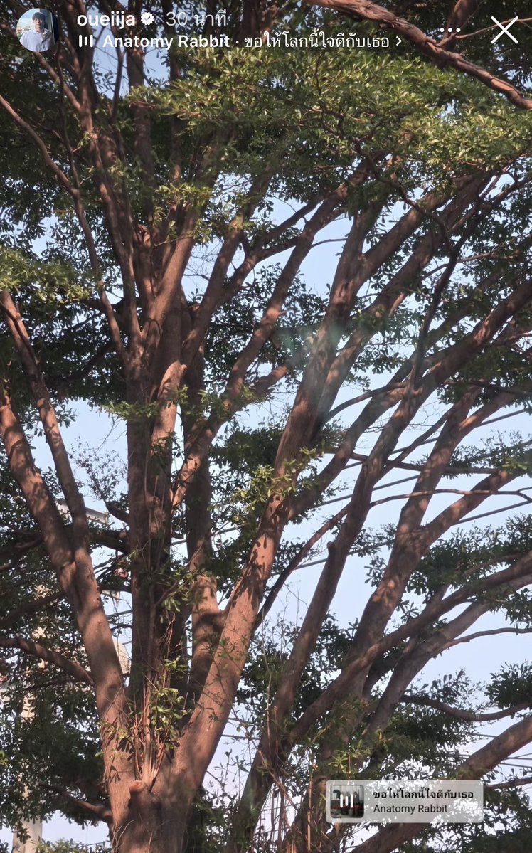 ᑤ h /•᷅•᷄\ᘏ tweet media