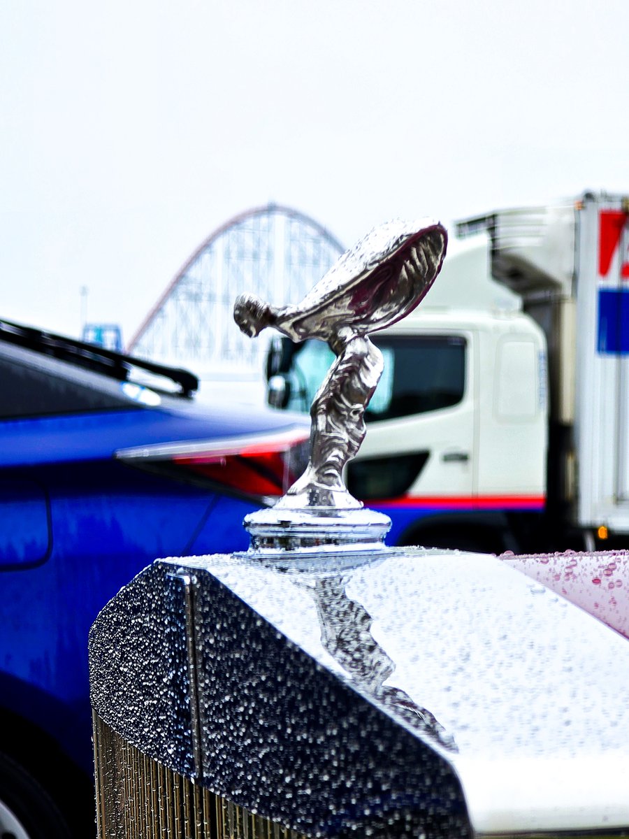 Angelfish tweet media