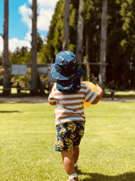 佐渡市役所 tweet media