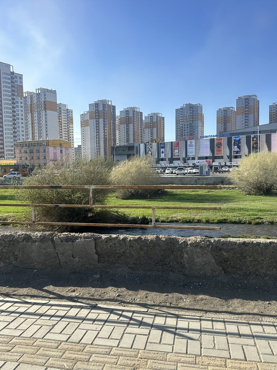 BTsetsenbat's tweet photo. 24 оны 5 сард түгжирч суухдаа авсан зураг бна. Дараахан нь бургасыг нь тайраад эхэлсэн.

УБ-т бусад хотод байхгүй гоё сайхан юм байхгүй. Ганц чимэж байгаа юм нь Дунд гол, Туул гол, хэдэн нугас нь. https://t.co/aDmDslq0i1
