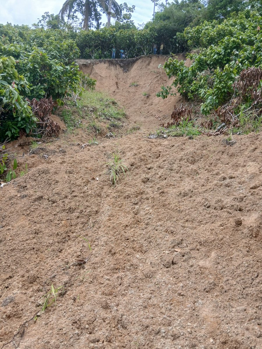 #Esmeraldas l Técnico drl proyecto #Agroprotege, realizan inspecciones por afectación ante deslizamientos de tierra en cultivos de cacao a  productores de la parroquia San Gregorio,  cantón Muisne.

#ElNuevoEcuador