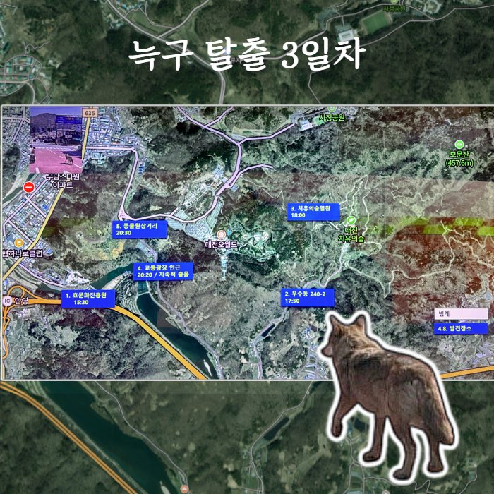 대전광역시 tweet media