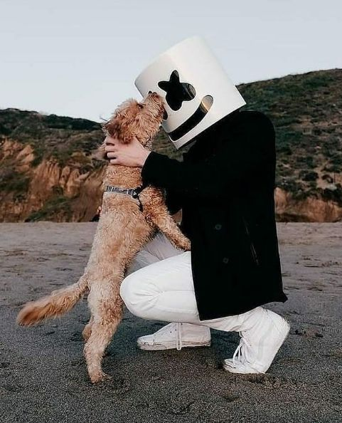 Portal Mellogang tweet media