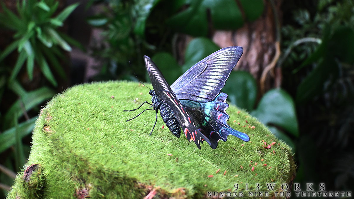 913WORKS tweet media