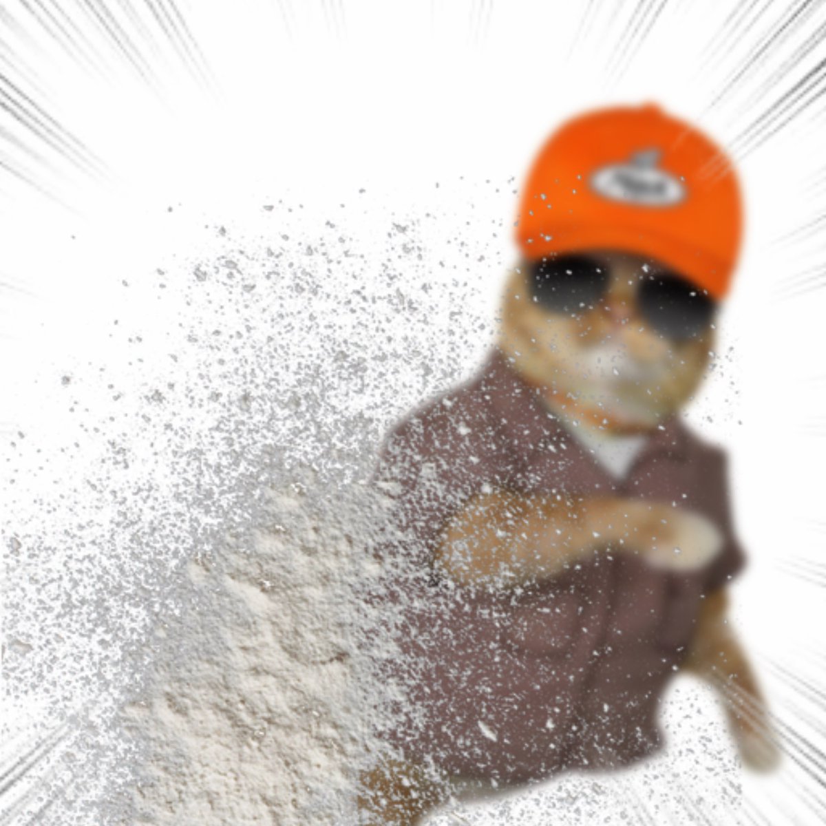 Throwing Things Daily tweet media