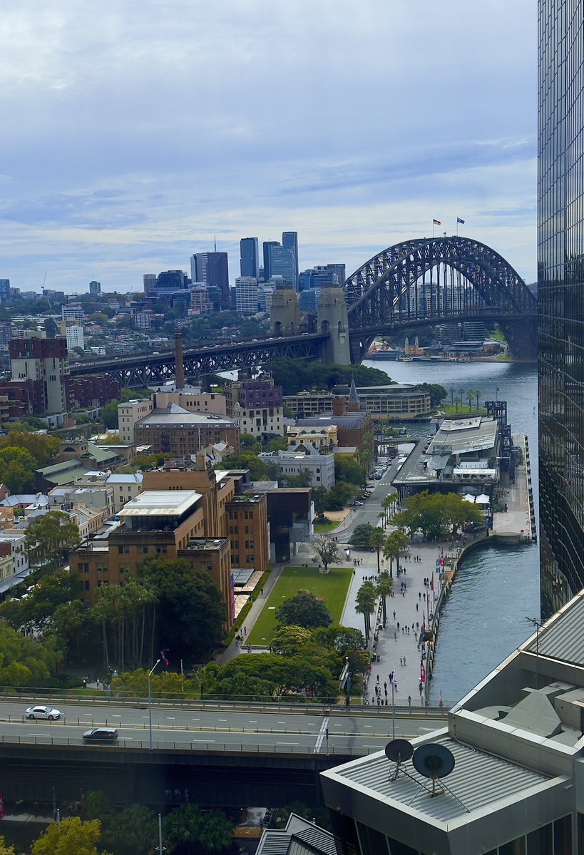 𝓒𝓪𝓻𝓫𝓲𝓮 𝓦𝓪𝓻𝓫𝓲𝓮 🐓 tweet media