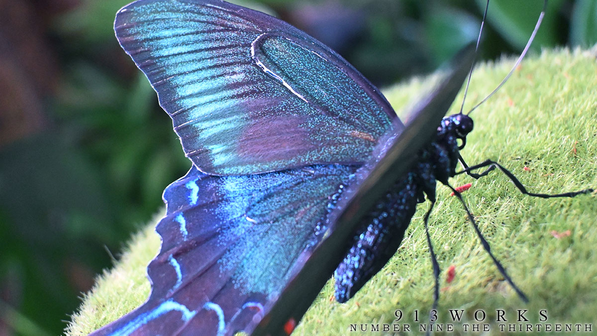 913WORKS tweet media