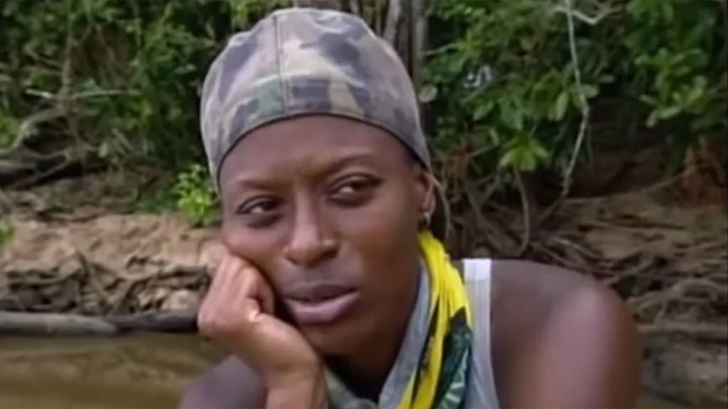 Turtle Survivor tweet media