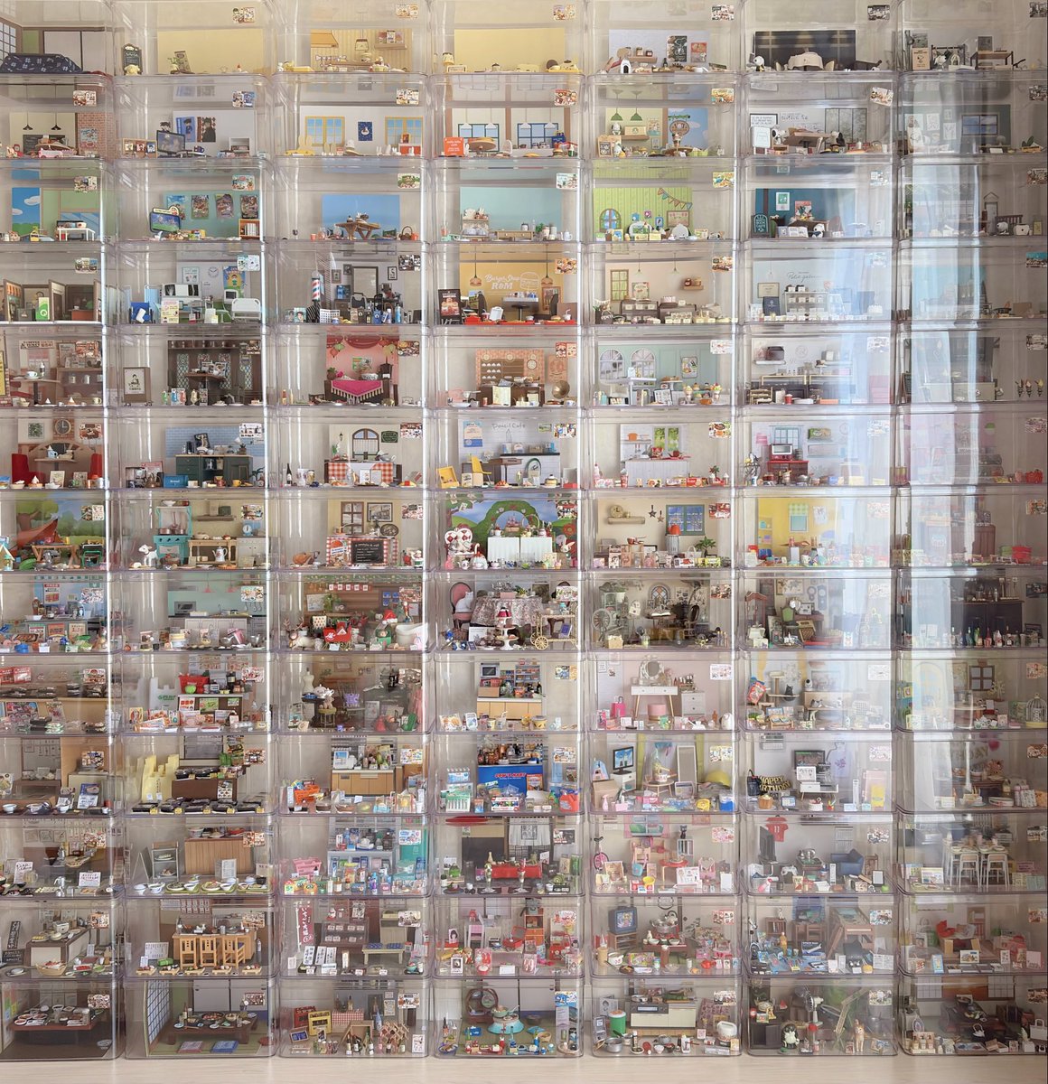 bear 🍎 tweet media