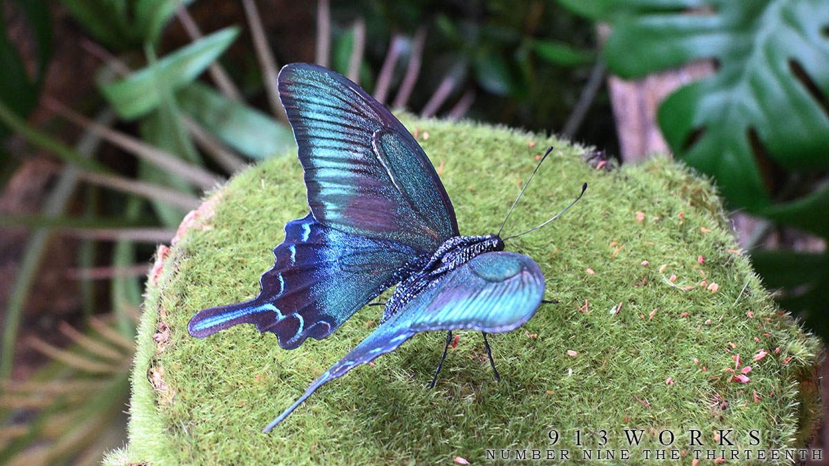 913WORKS tweet media