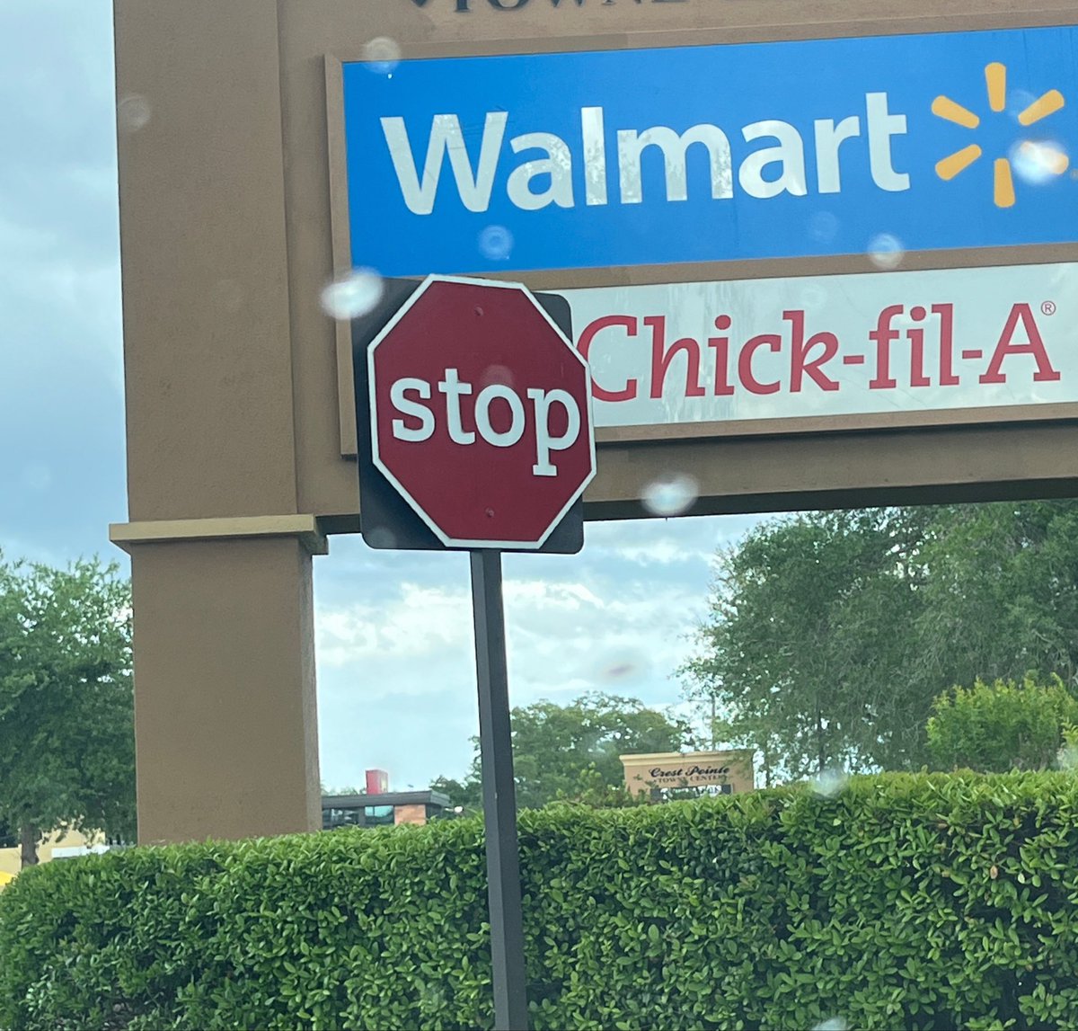 Deidre J Owen tweet media