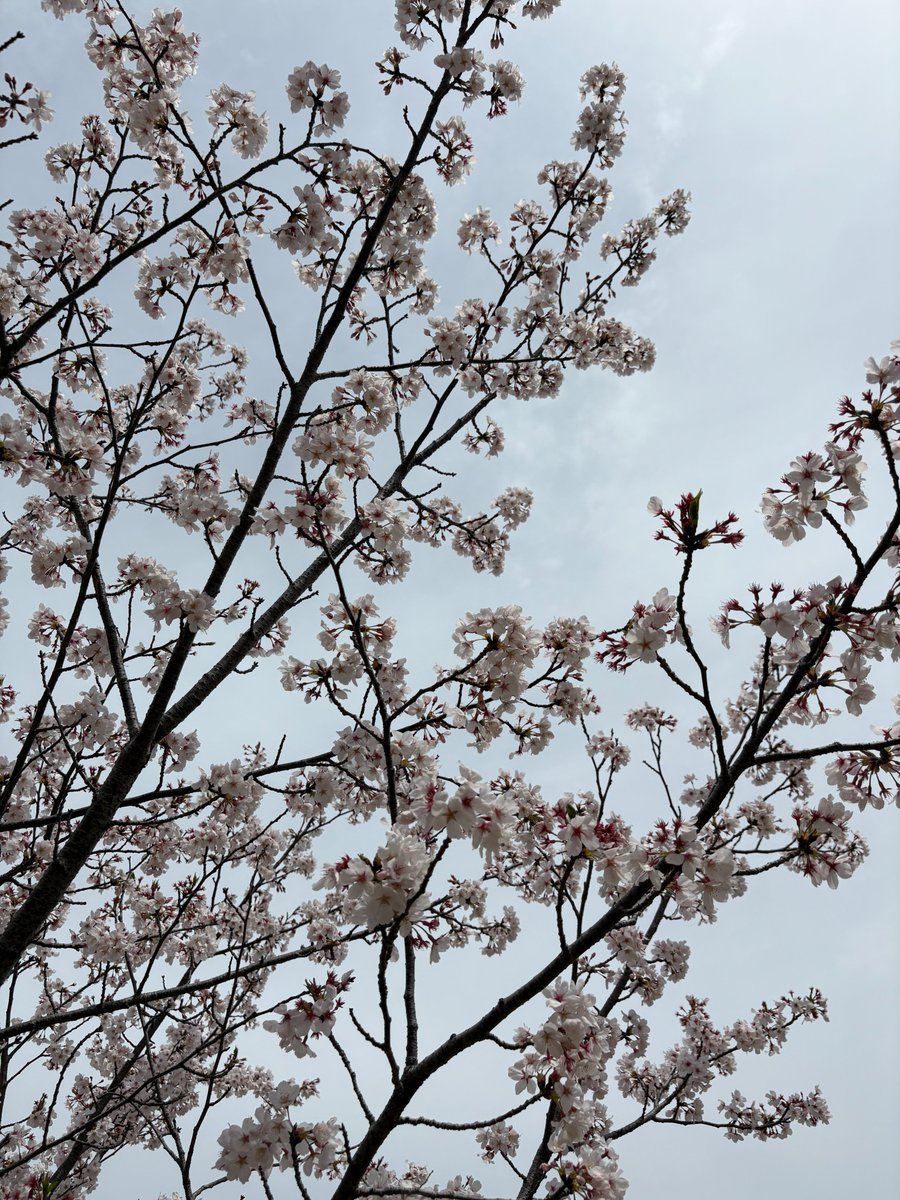 知多バス(知多乗合株式会社) tweet media