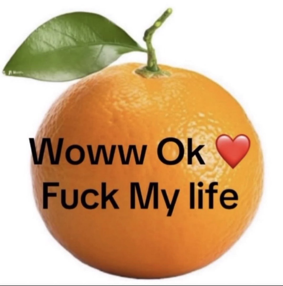 x - richie₂ 。𖦹°‧⭑.ᐟ tweet media