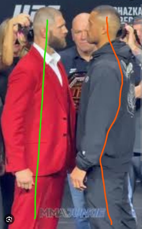 🦇🦇🦇 tweet media