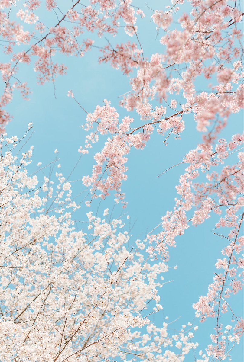 木佐貫直人/art6d tweet media