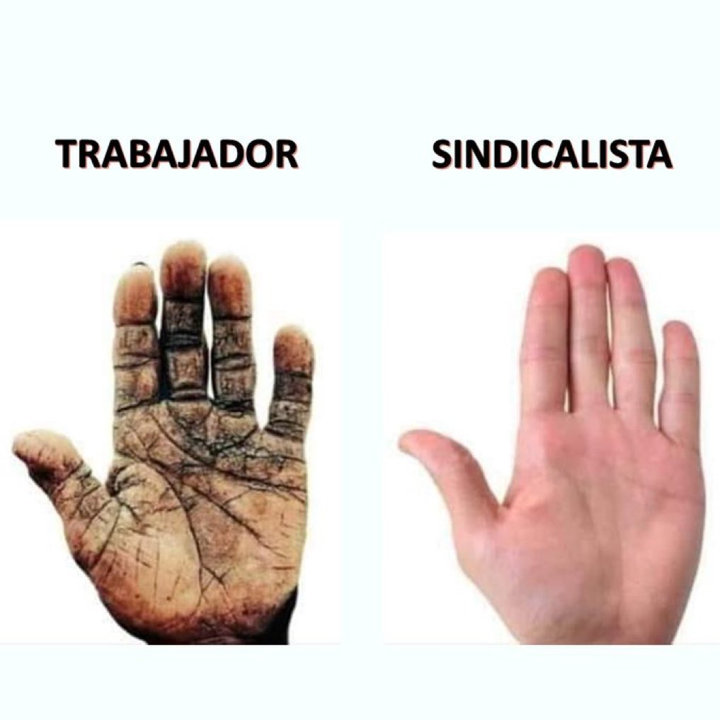 T O K i 🇨🇱 tweet media