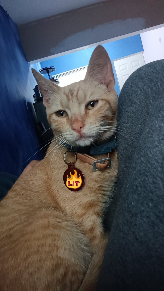 Está bien guapo el marciano