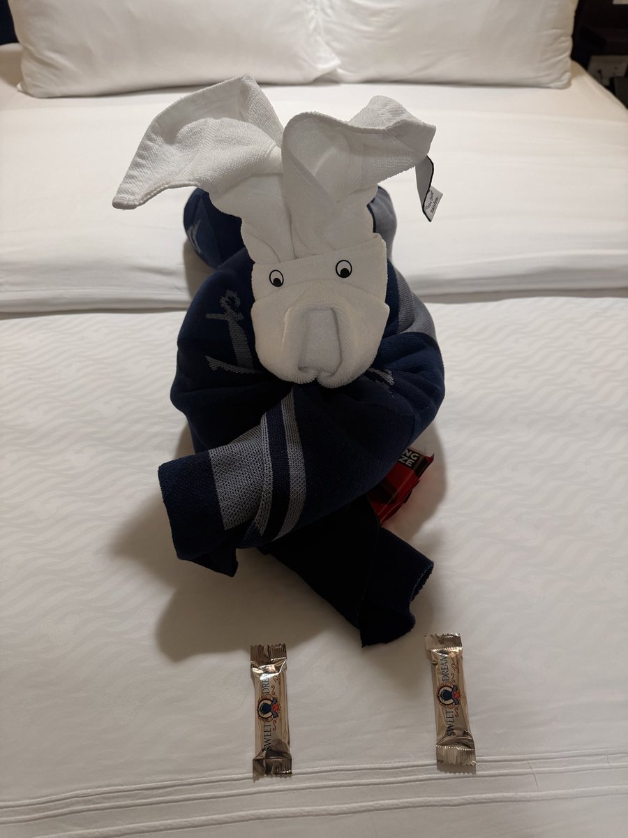 BackToTheMouse's tweet photo. Goodnight! https://t.co/2cCg0KJhud