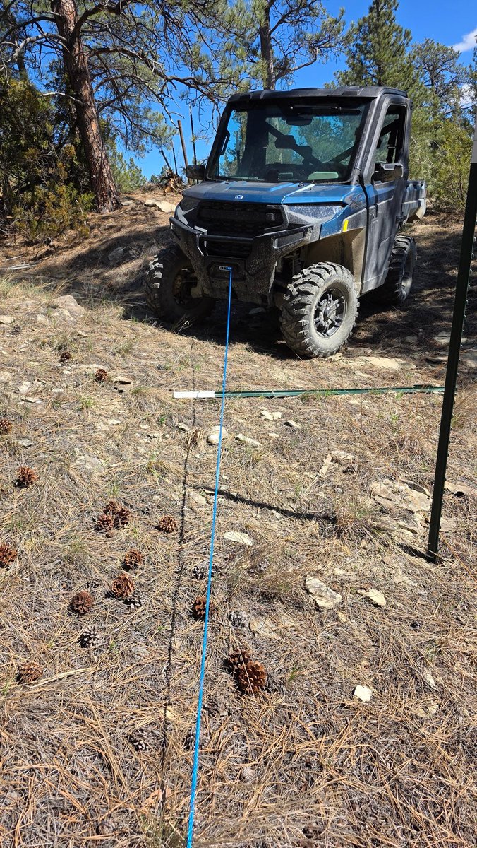 The People's Therapist 👏Expert👏 tweet media