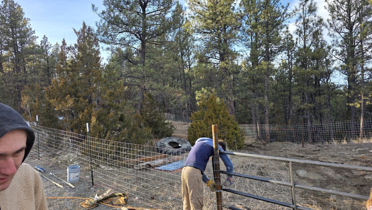 The People's Therapist 👏Expert👏 tweet media