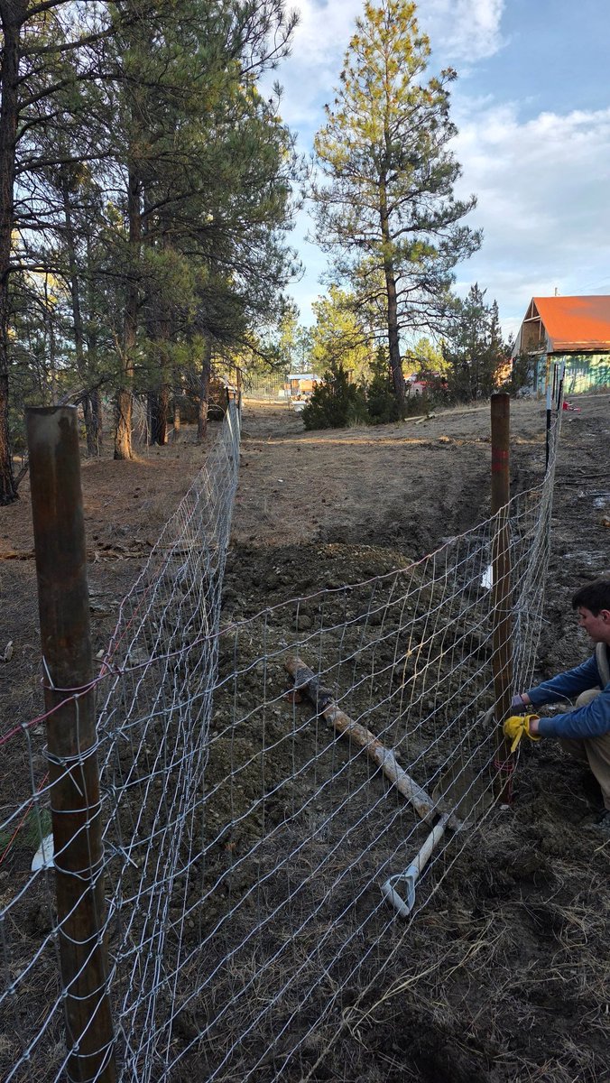 The People's Therapist 👏Expert👏 tweet media