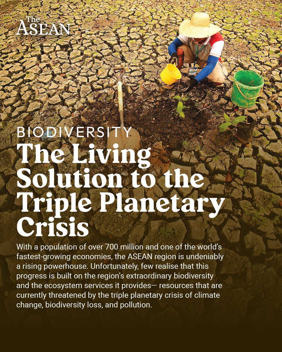 The ASEAN Magazine tweet media