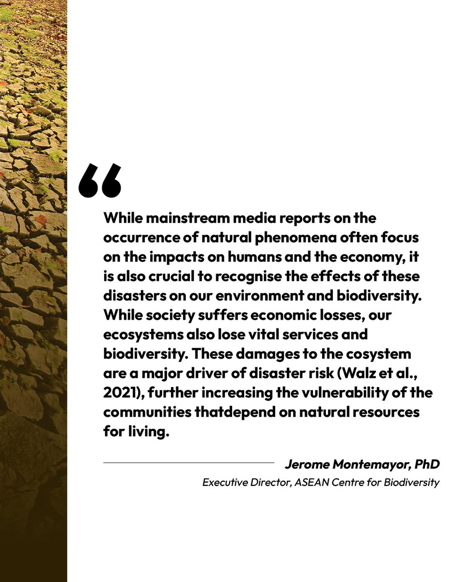 The ASEAN Magazine tweet media