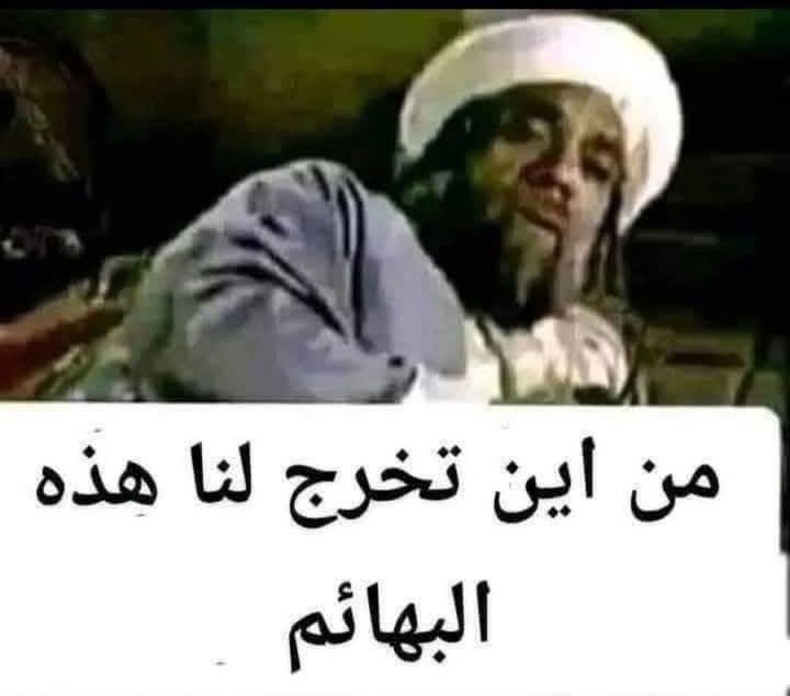 Mohamed ابوعبدالله tweet media