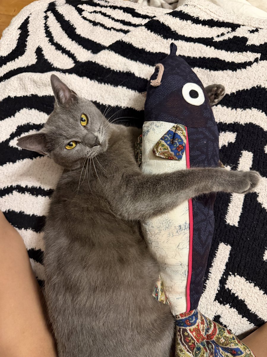 新生姜って
普通の生姜と
何が違うんだ？って買わずに
この歳まで来たけど

年中売ってる物より
風味も食感も良いじゃないか

知らずに逃して来た
旬の物とか
まだまだあるんだろうな

水不足が解消されそうな雨ですね
掛けたばかりのシートが今にも
破裂寸前で気付けたから
排水してなんとかセーフ