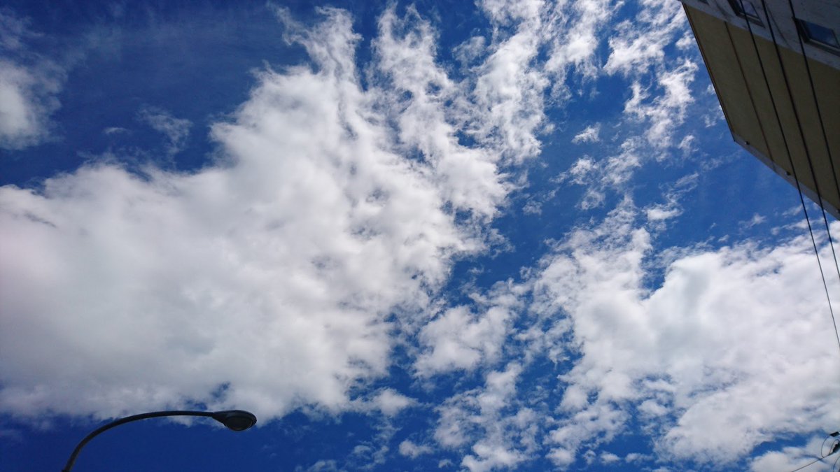 ピスチコ@目指せミニマリスト tweet media