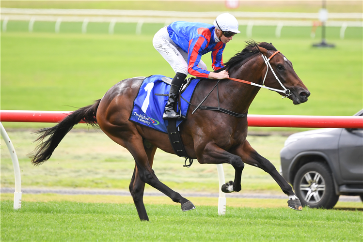 Giddy Up With Gareth Hall tweet media