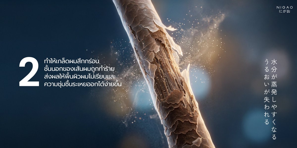 NIGAO-Brand tweet media