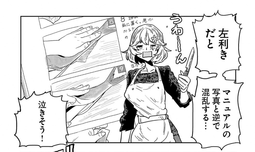 はるかリセット第220話読了。
左利きだと教科書の写真が左右反転するだけではない。和包丁は両刃の洋包丁と違い片歯であり。一般的な右利き用出刃包丁で三枚おろしにすると絶対に上手くいかない。春河童先生は自分用の出刃包丁を買え! 