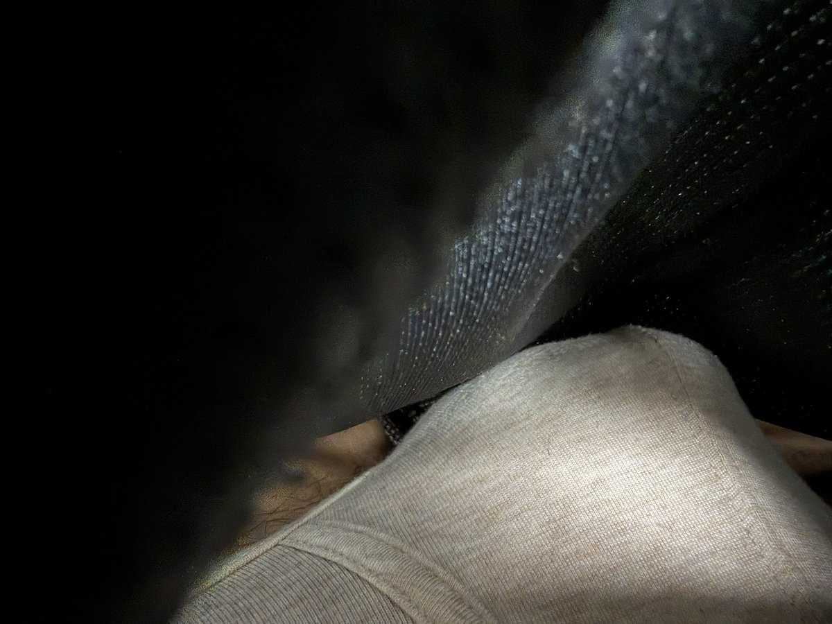 大學長💤 tweet media