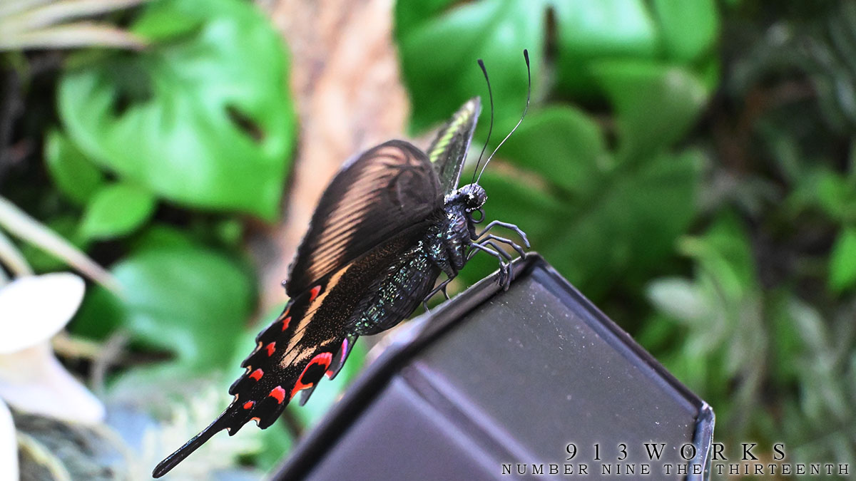 913WORKS tweet media