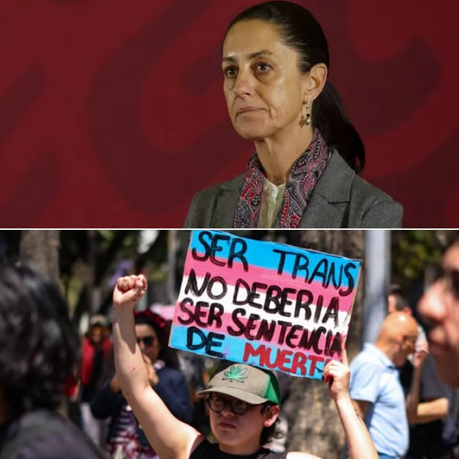 RedDiversidad's tweet photo. Gobierno de Sheinbaum sin estrategia para frenar crimenes contra mujeres Trans.

En una semana, cuatro han sido ejecutadas. La presidenta no ha presentado ningun plan de acción  y su partido MORENA, se limitó a subir una efemeride “celebrando” el día de la visibilidad trans. Hilo https://t.co/HmUZETcM0M