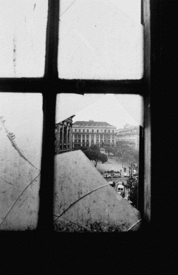 Dom Carlos 1908 tweet media