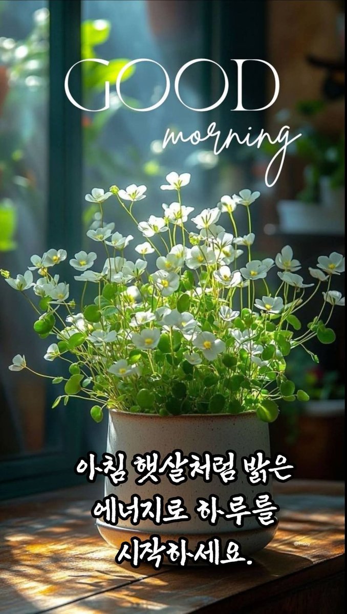 chunchiingroup's tweet photo. https://t.co/gN96LufgV8
