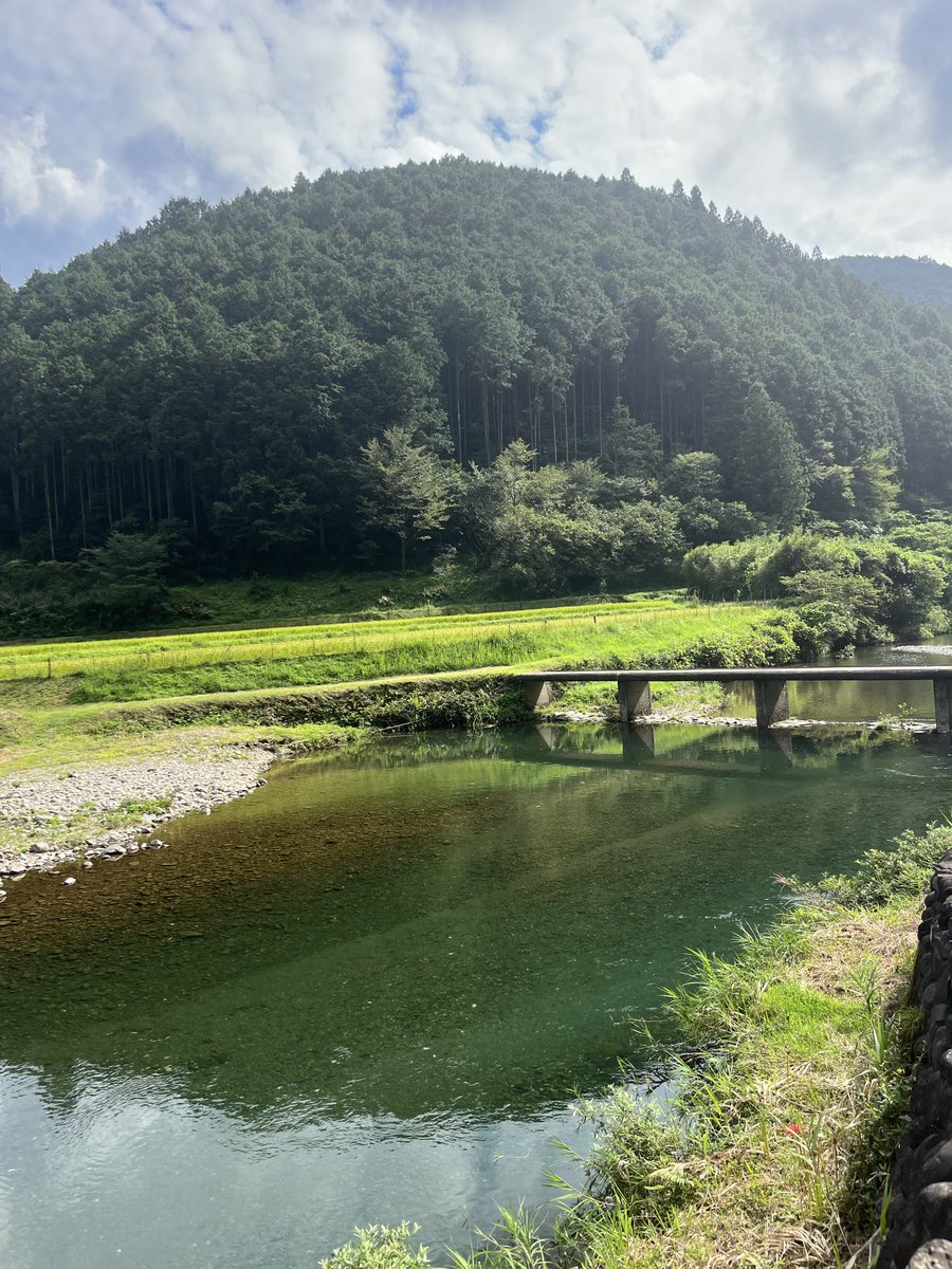 ishiduchitenba3 tweet media