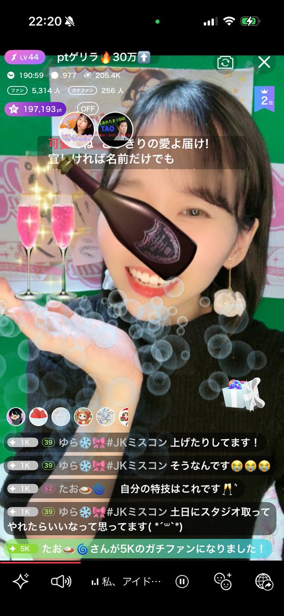 獣医の卵ちっぴ🐱AIと占い🔮 tweet media