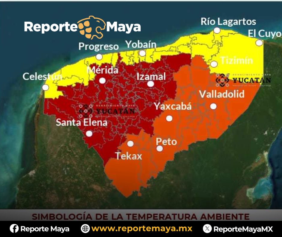 Reporte Maya tweet media