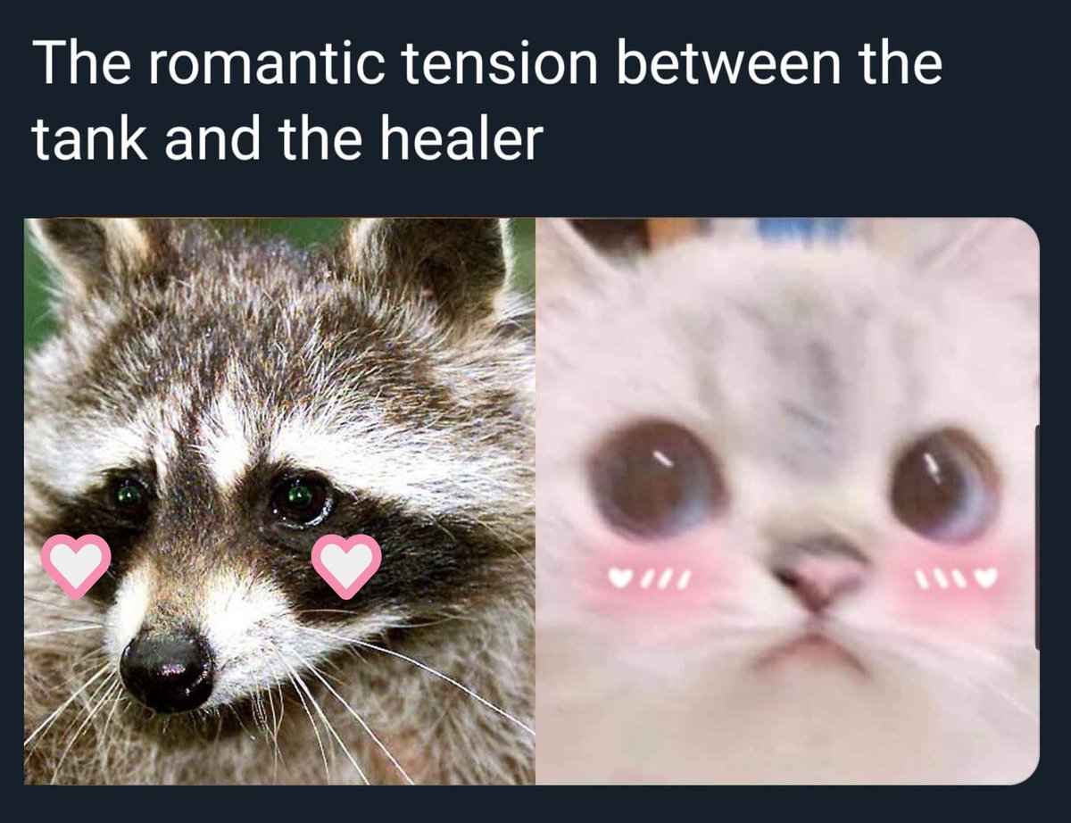 x - mooncat tweet media